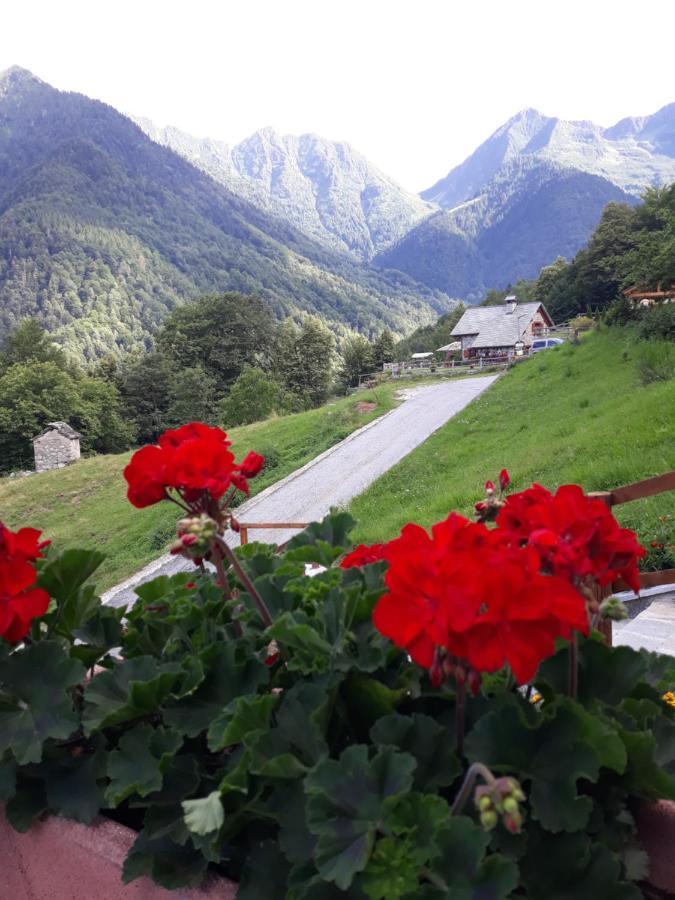 Casa All'Alpe Gaggetto B & B Anzino Εξωτερικό φωτογραφία