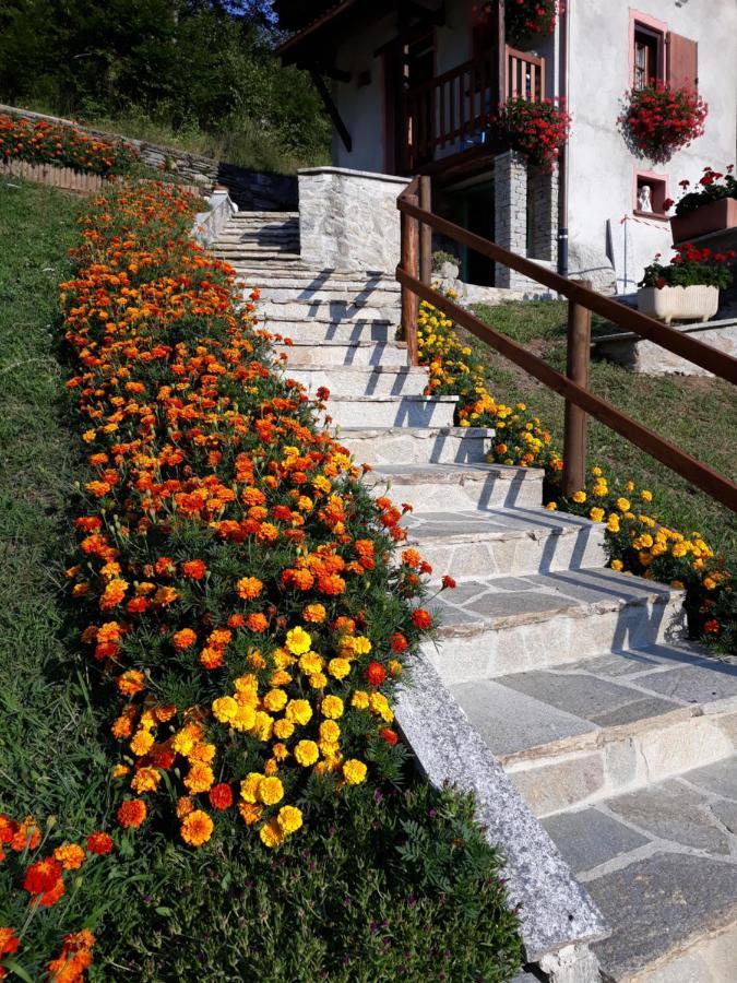 Casa All'Alpe Gaggetto B & B Anzino Εξωτερικό φωτογραφία