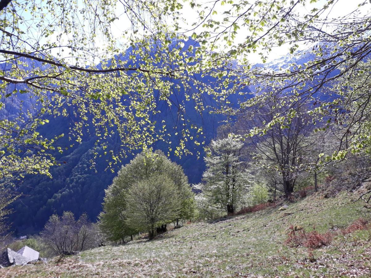 Casa All'Alpe Gaggetto B & B Anzino Εξωτερικό φωτογραφία
