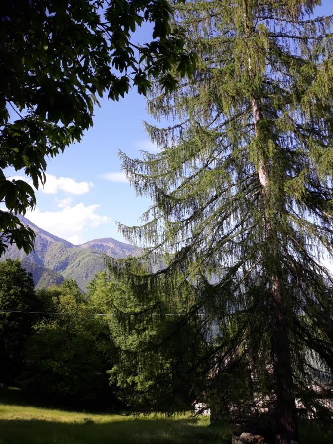 Casa All'Alpe Gaggetto B & B Anzino Εξωτερικό φωτογραφία