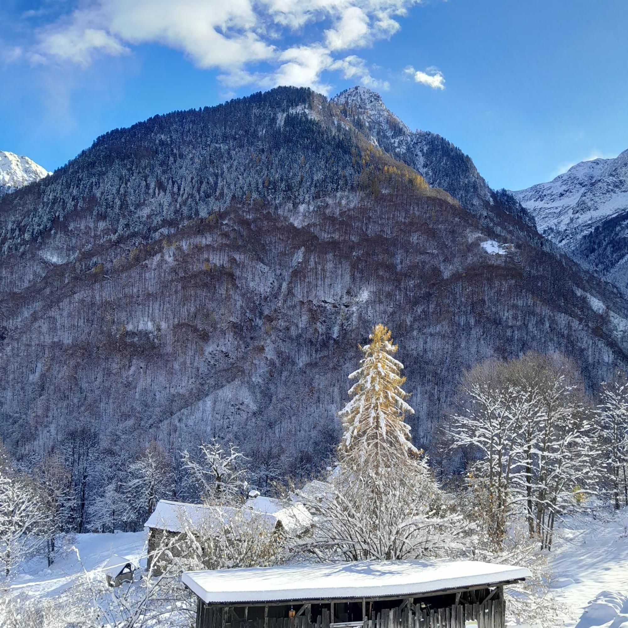 Casa All'Alpe Gaggetto B & B Anzino Εξωτερικό φωτογραφία